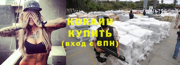 кокс Белокуриха